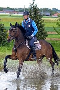 WHS Reitsport Dressurreiten Wasserkomplex WHS Ruppertshofen Wassserkomplex Reiten Unterricht