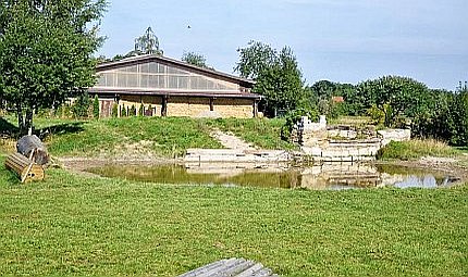 Westerich Horse Sport Wasserkomplex