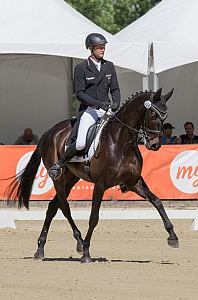 WHS Reitsport Dressurreiten WHS Ruppertshofen Dressur Unterricht